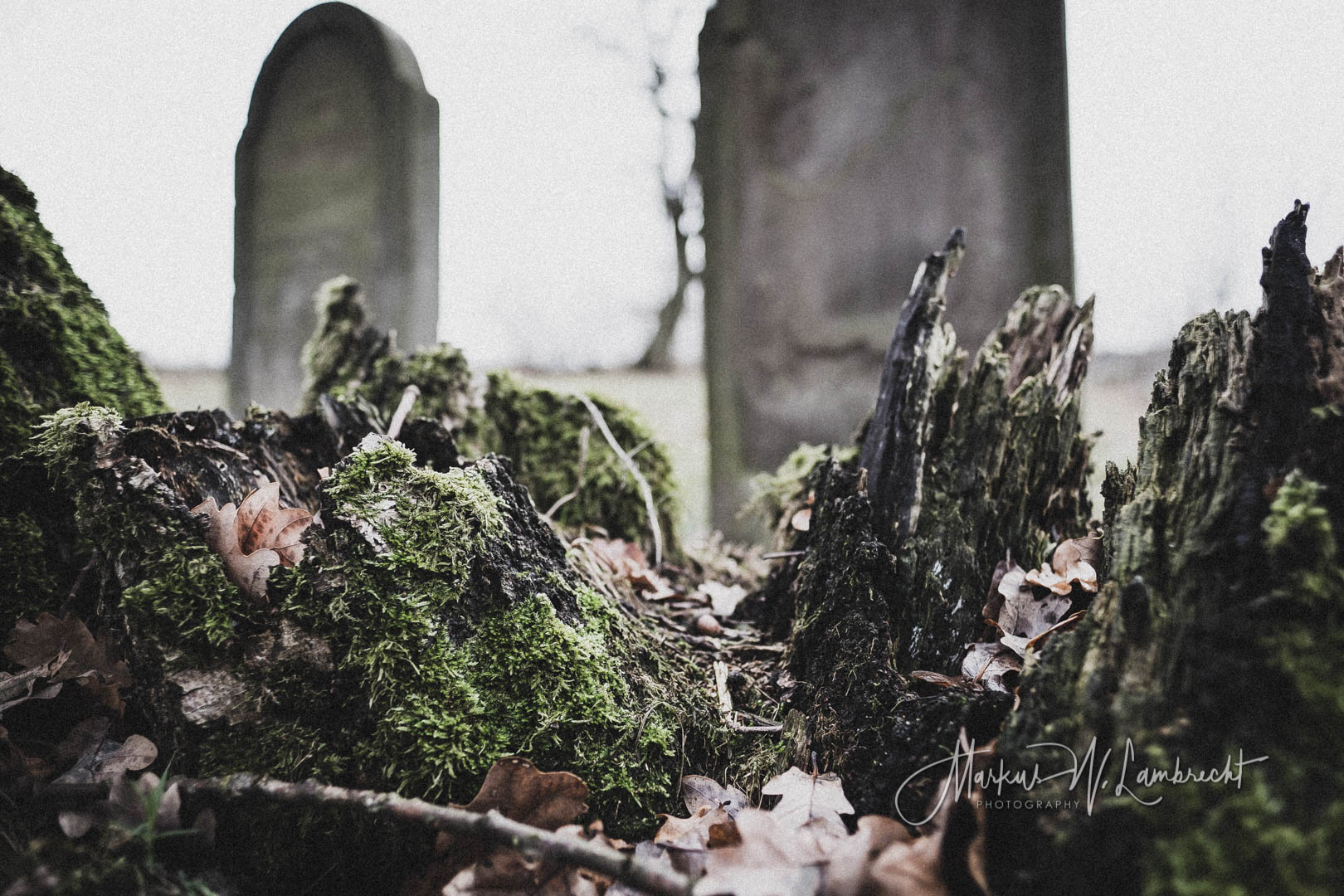 Mackensen (Dassel), Jüdischer Friedhof